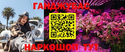 МДМА Кудрово