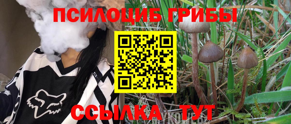 Псилоцибиновые грибы Cubensis Москва